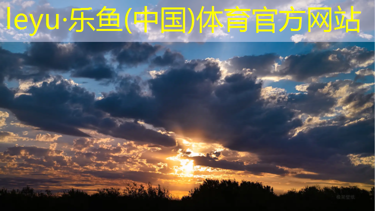 乐鱼体育,塑胶跑道材料切块保存